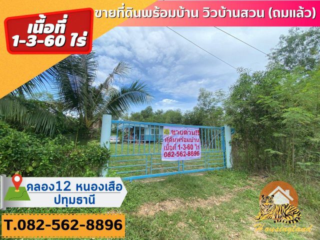 ขายด่วน!! ที่ดินถมแล้วพร้อม​บ้าน​ ถนนเลียบคลอง 12  ตำบลศาลาครุ อำเภอหนองเสือ ปทุมธานี