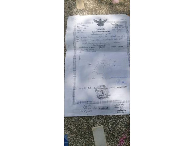 ขายที่ดิน19ไร่ จังหวัดอุตรดิตถ์