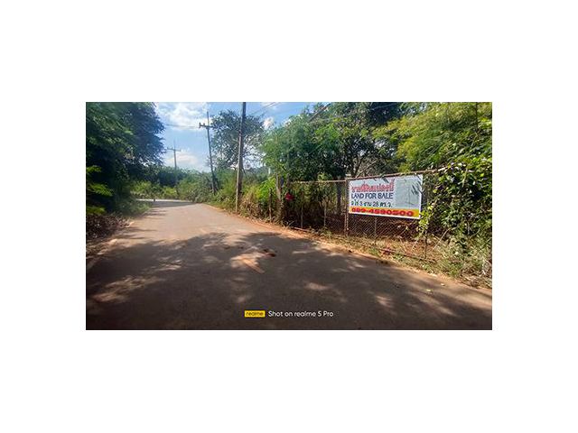ขายที่ดิน ปากช่อง หนองน้ำแดง ซ.วัดไทยเดิม 9ไร่ 3งาน 28ตร.ว. นส.3ก. 29,000,000 บาท เจ้าของขายเอง 089-4590500
