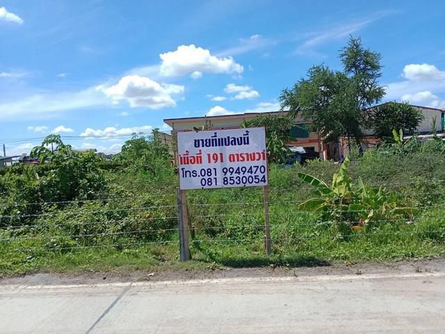 ขายด่วน ที่ดิน ขายที่ดิน 191 ตารางวา