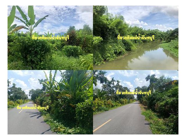!!!ที่ดินติดแม่น้ำจันทบุรี!!! เสนอขายที่ดินสวนผลไม้ผสม  ติดถนนลาดยาง & ใกล้ถนนสี่เสน เนื้อที่ 8 ไร่กว่าๆ อำเภอเขาคิชฌกูฎ