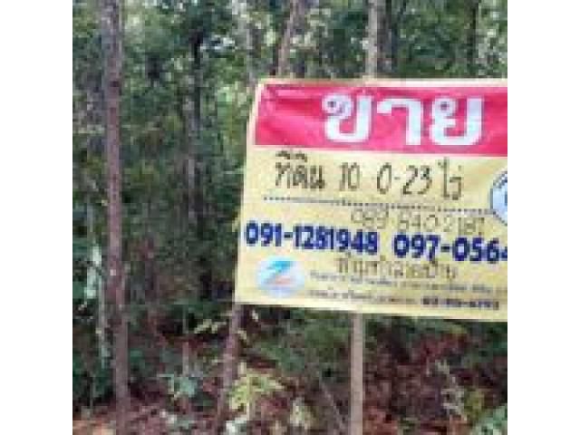 ขายที่ดินด่วน  10-0-23 ไร่ ใกล้โรงเรียนบ่อแปป ต.พระธาตุพังพวน  อ.เมือง  จ.หนองคาย