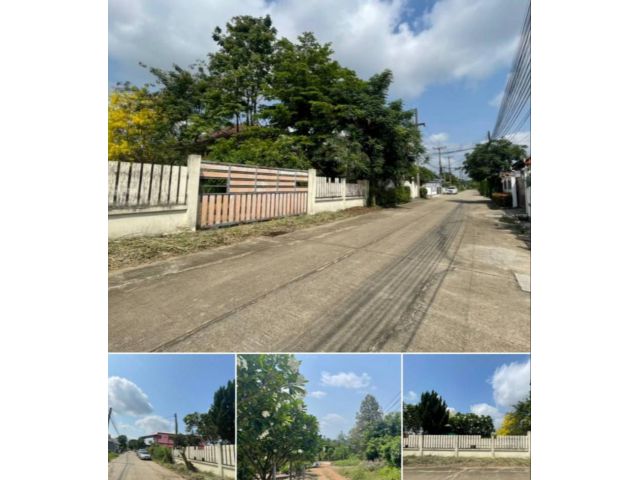 ขายที่ดิน199 ตรว.ใกล้ริมปิงกาดฝรั่ง ถมล้อมรั้วทั้ง4 ด้าน