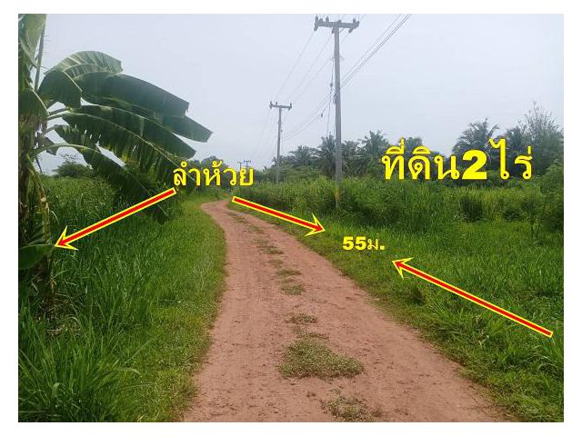 ที่ดินสวย 2 ไร่ อยู่ใกล้ปั๊มเอสโซ่ห้วยไผ่ถนนห้วยไผ่ราชบุรี 1.5 กม.เหมาะอยู่อาศัยหรือทำเกษตรพอเพียงหรือโครงการโคกหนองนา.
