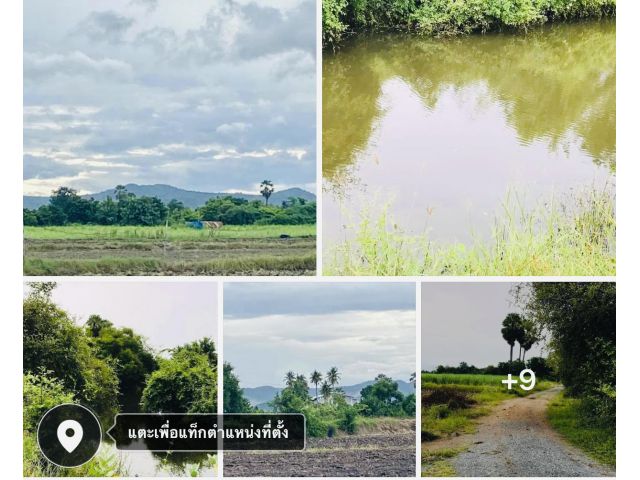 ขายที่ดินทำการเกษตร อ.อู่ทอง จังหวัดสุพรรณบุรี 7ไร่3งาน