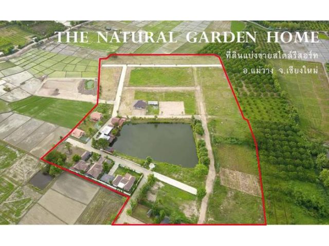 ขายที่ดินจัดสรรแบ่งขายสไตล์รีสอร์ท The Natural Garden ทำเลทอง​ของสันป่าตองแม่วาง จ.เชียงใหม่