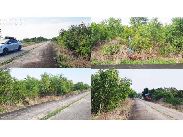 ต้องการขายด่วน ขายที่ดินบางเลน นครปฐม 200ตรว ทำเลดี เดินทางสะดวก ขายราคาถูก