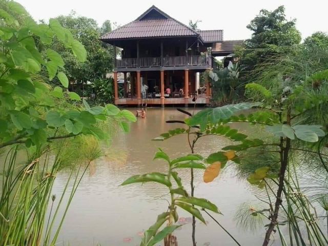 ขายที่ดินแม่ริม จ.เชียงใหม่ พร้อมสิ่งปลูกสร้างพร้อมทำกิจการ #วิวดอยล้อมรอบ เนื้อที่ 10-2-0 ไร่