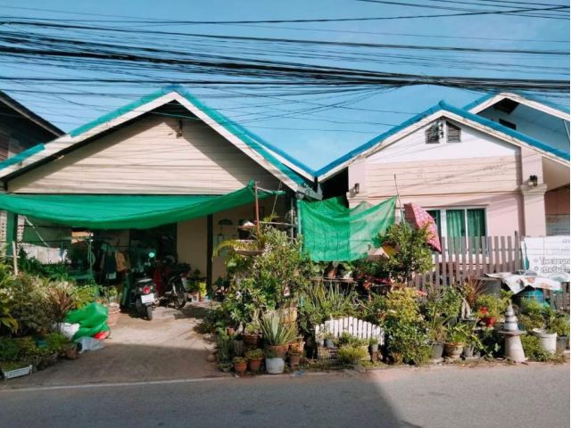 บ้านชันเดียว 55ว้า โซนกุดกว้าง ขอนแก่น