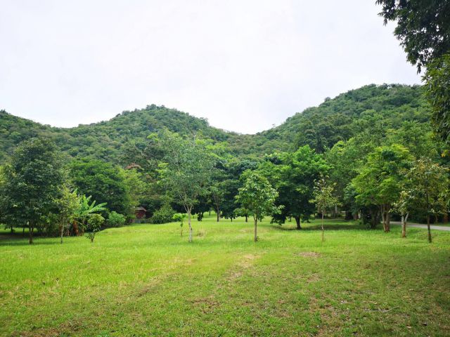 ขายที่ดิน 3 ไร่ ในหุบเขา วิวภูเขาล้อมรอบ ห่างถนนธนะรัชต์ 5 กม. ห่างศุนย์พัฒนาผู้นนำซีพี 2 กม. ราคาขายวาละ 18,000 บาท