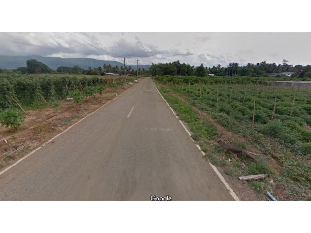 ขายที่ดิน  2-3-97  ไร่   อ. ปากช่อง  ต. โป่งตาลอง  จ. นครราชสีมา