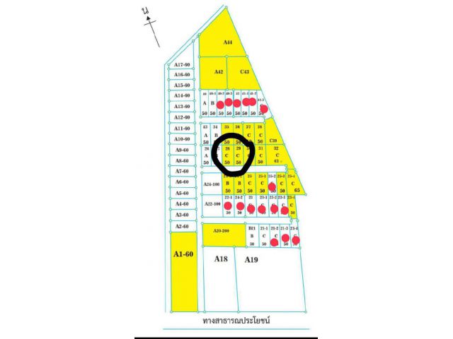 ที่ดินแบ่งให้เช่าหัวหิน-ชะอำแปลงละ 50 ตรว ให้เช่าแปลงละ 1700 ต่อเดือน