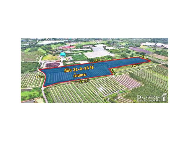 ขาย ที่ 31 ไร่ หน้ากว้างมาก 133 เมตร ราคาคุ้มสุดในตลาด เชื่อมต่อหลายเส้นทาง ถนนสวนส้ม บางปลา และพระราม 2