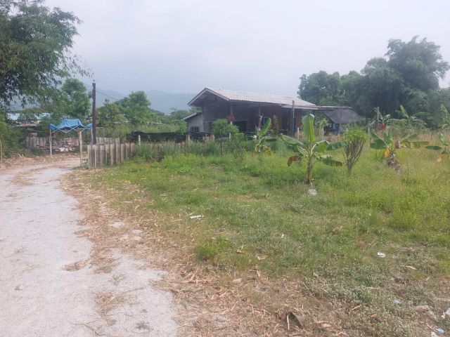 ที่ดิน 157 ตรว.หนองข้างคอก ชลบุรี