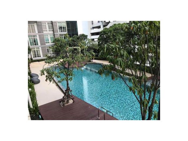 Ideo Verve Sukhumvit 2 Bed 9.5 mb