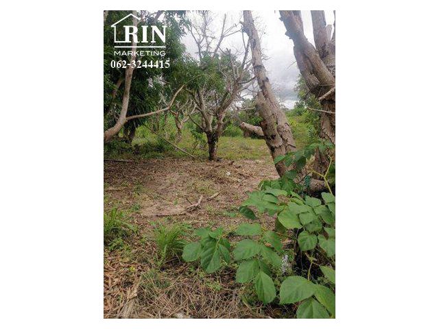 รหัสทรัพย์ : AK110722-03 ขายที่ดิน 220 ตร.วา หลัง รพ.กรุงเทพ-ระยอง