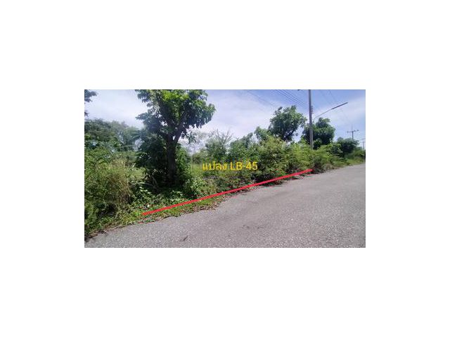 ที่ดิน วิจิตราธานี  หอมศีล บางปะกง ฉะเชิงเทรา