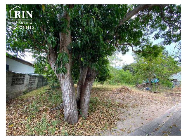 รหัสทรัพย์ : AK110722-05 ที่ดินเปล่า 123 ตร.วา ซอยใจวงศ์ ต.เชิงเนิน เมืองระยอง