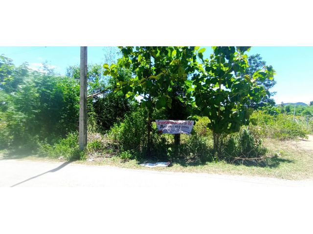 ขายที่ดินเปล่า 3 ไร่ อ.จอมบึง จ.ราชบุรี