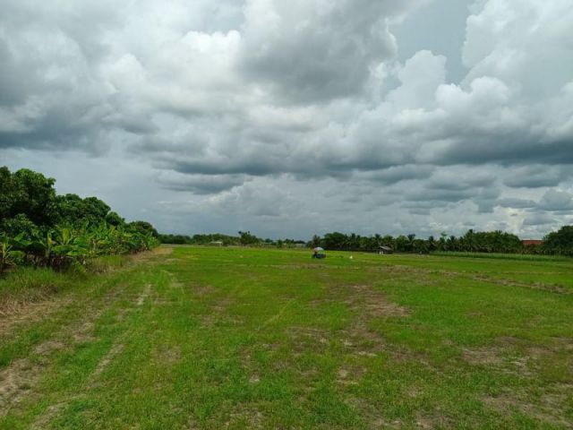 ขายที่หางดง ที่ดินติดถนน ใกล้ ปตท.น้ำแพร่ เหมาะสำหรับทำบ้านจัดสรร เนื้อที่ 8-1-59 ไร่ ต.น้ำแพร่ อ.หางดง จ.เชียงใหม่