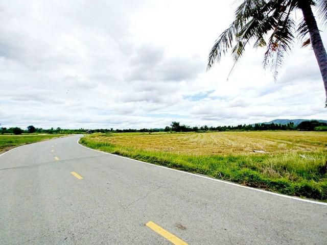 ขายที่ดินติดถนนลาดยาง หนองบัว กาญจนบุรี
