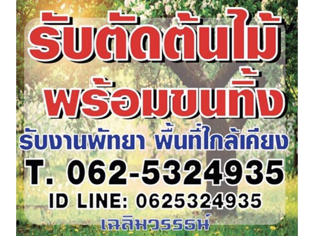 รับตัดต้นไม้ ในเขตเมืองพัทยา อ.บางละมุง พื้นที่ใกล้เคียง รับตัดต้นไม้ รับตัดกิ่งไม้ รับตัดหญ้า รับกำจัดวัชพืช รับฉีดยาฆ่