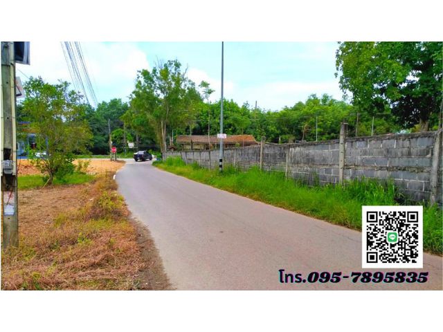 ขายที่ดินระยอง ทับมาอำเภอเมือง เนื้อที่ 1 ไร่ ติดถนนซอยลาดยาง *น้ำไม่ท่วม*
