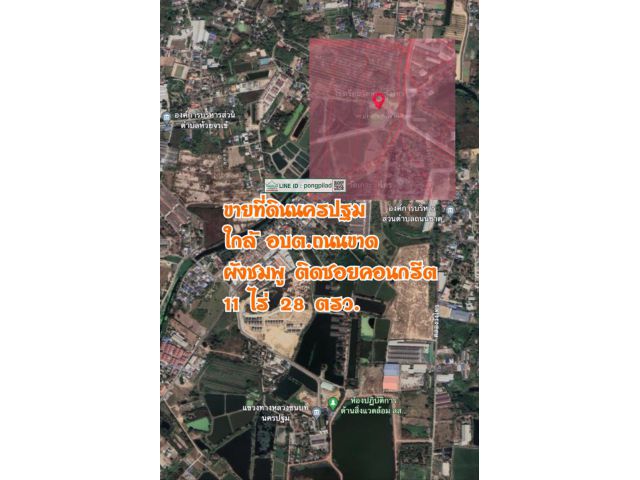 ขายที่ดินนครปฐม ใกล้ อบต.ถนนขาด ผังชมพู ติดซอยคอนกรีต 11 ไร่ 28 ตรว. ไร่ละ 2.5 ล้าน