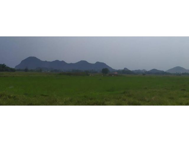 ขายที่ดินโฉนด 406 ไร่ ติดถนนลาดยาง เป็นทุ่งนา ดินดี นํ้าดี เหมาะทําโซล่าเซล หรือสวนเกษตร ฯ