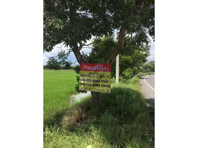 ขายที่ดิน สามโคก ปทุมธานี  เนื้อที่ 37 ไร่ 3 งาน 32 ตรว.