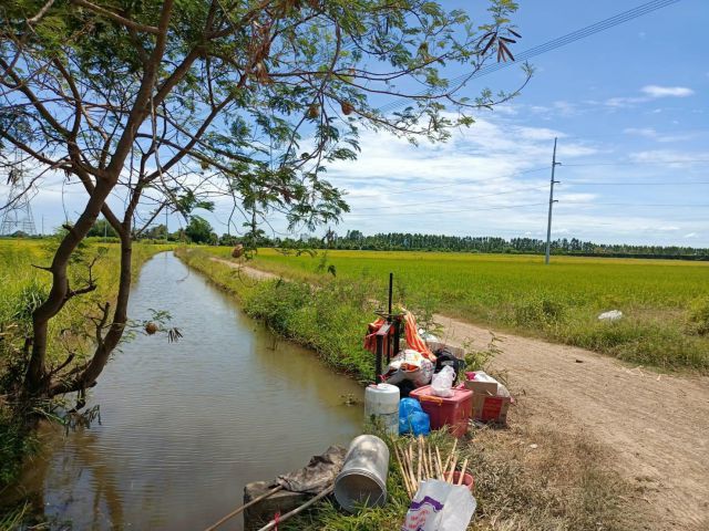 ขายที่ดิน ที่นา 11-2-93.6 ไร่ ต.ห้วยหมอนทอง