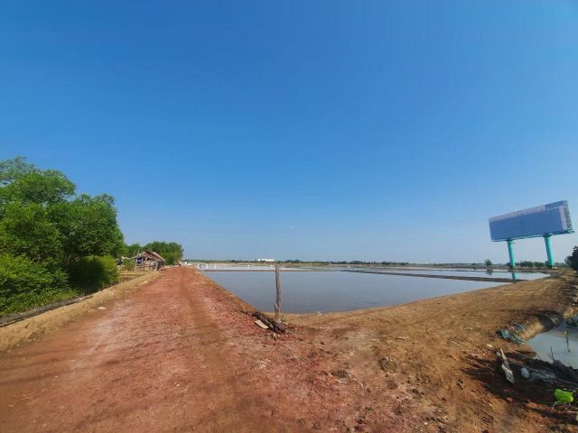 ขายที่ดิน เหมาะสำหรับประกอบอาชีพ