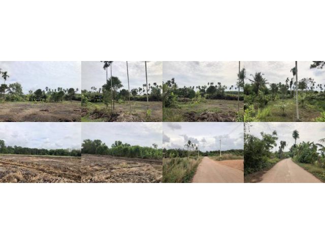 ที่ดินโคกหนองนาโฉนด 11 ไร่