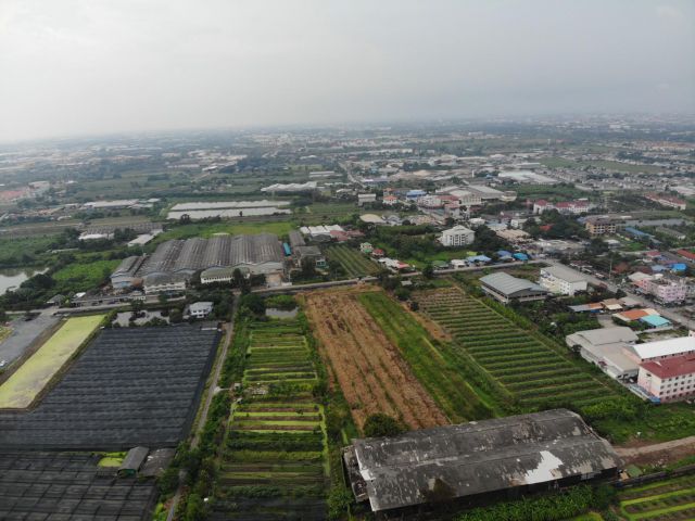 S381 ขายที่ดิน 10 ไร่ ที่ดินสร้างโรงงาน (สีม่วง)  ที่สวย แคราย สมุทรสาคร