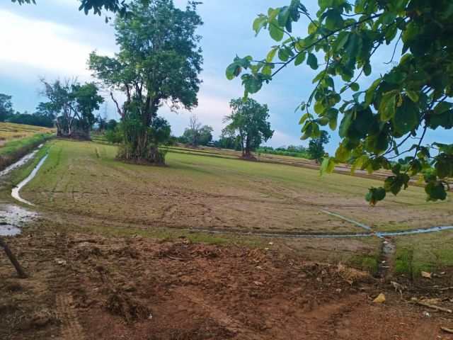 ขายที่ดิน เหมาะสำหรับใช้ประโยชน์เอนกประสงค์