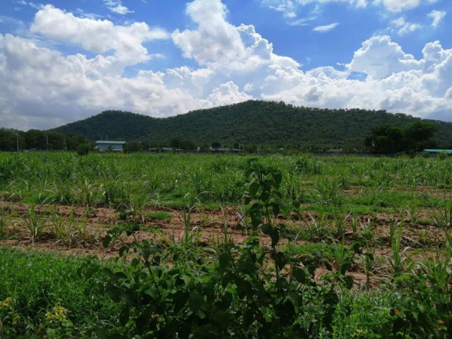 ขายที่ดิน ทำเลสวย บรรยากาศดี จังหวัดกาญจนบุรี