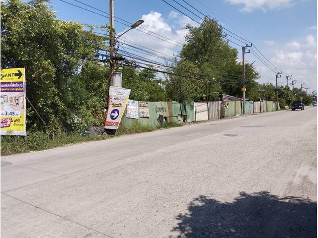 ขายที่ดินคลอง 2 คลองหลวง ปทุมธานี ซอยบงกช 49