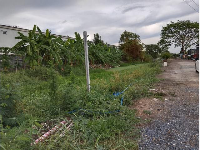 ที่ดินเลียบคลอง3 31-2-92 ไร่ อ.ลำลูกกา ปทุมธานี