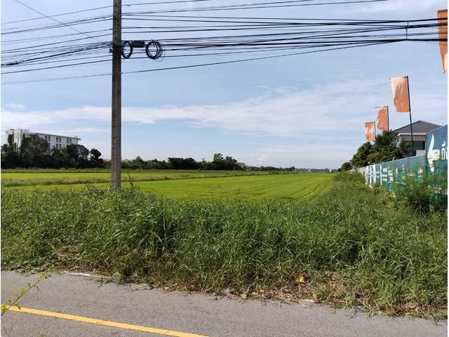 ขายที่ดินลำลูกกาคลอง 6 ติดถนนเส้นบึงคำพร้อย