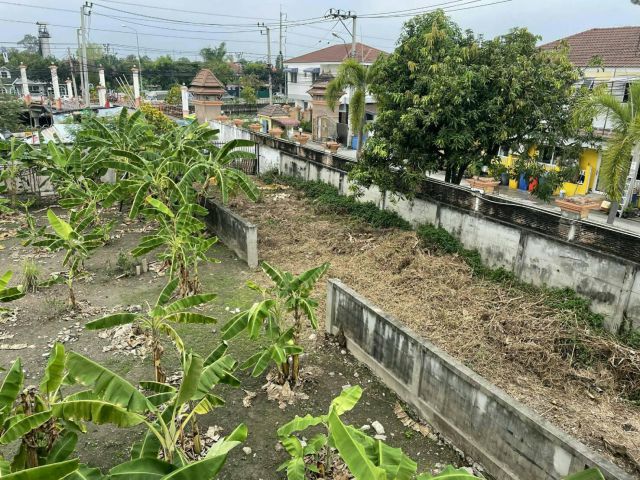 ขายที่ดิน แปลงใหญ่  เนื้อที่ 4 -0-17 ไร่ ถนนคลองทวีวัฒนา แขวงบางแคเหนือ