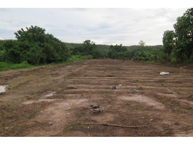 PK323ขายที่ดินติดแม่น้ำขาน ราคารวมโอน ด้านฝั่งเชิงดอยของถนนเลียบคลองชลประทาน