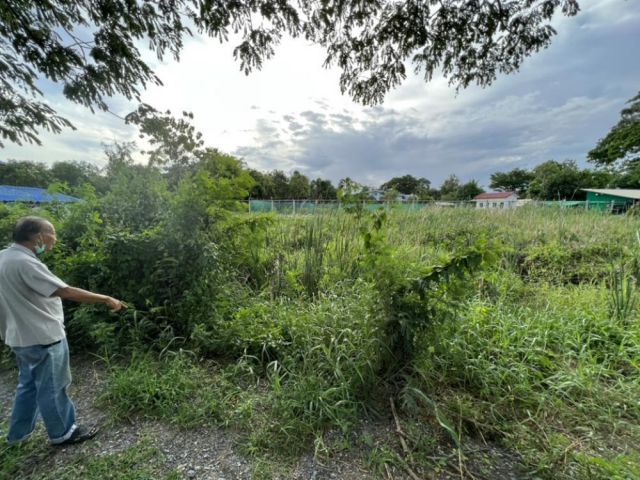 PK325ที่ดินเปล่า 107 ตรว. ห่ายจากถนนใหญ่เพียง 500 เมตร ใกล้ห้างสรรพสินค้าแมคโคร