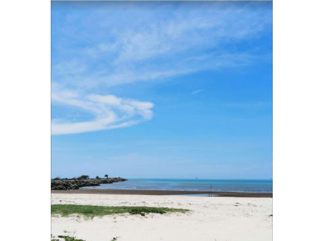 PK326 ที่ดินสวย โฉนดพร้อมโอน พร้อมที่งอก! 9 ไร่ หาดชะอำ สะพานปลา