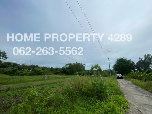 ที่ดิน เนื้อที่ 9 ไร่ 3 งาน แขวงบางไผ่ เขตบางแค