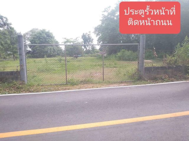 ขายที่ดินแปลงสวย ติดหน้าถนน 2 ไร่ 53ว. เหมา 3.5ล้าน
