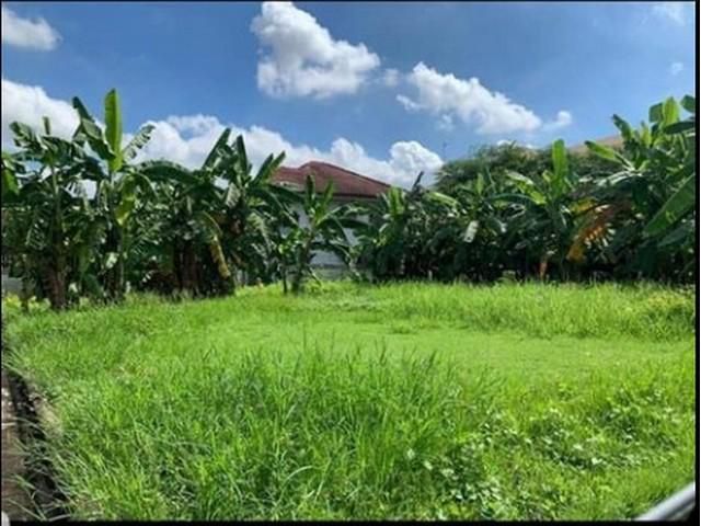 ขายที่ดิน แปลงมุม ย่านบางเขน พหลโยธิน 691 ดอนเมือง สะพานใหม่