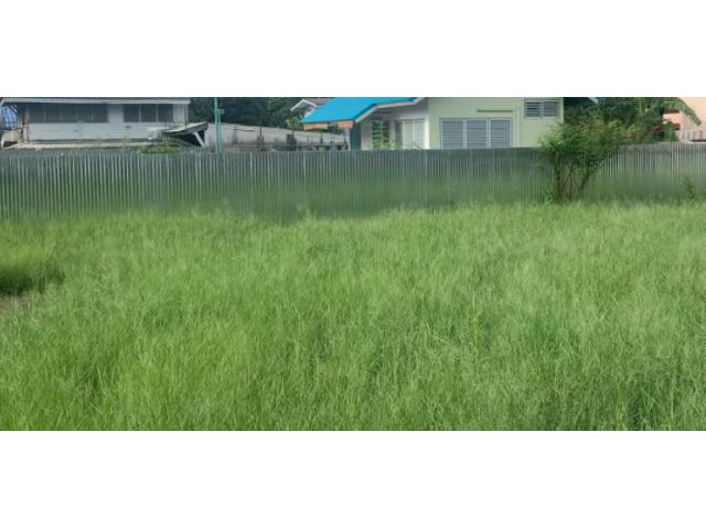 PK332ขายที่ดินเปล่า 150ตรว ถมแล้ว ใกล้รถไฟฟ้า 600ม สถานีเพชรเกษม 48