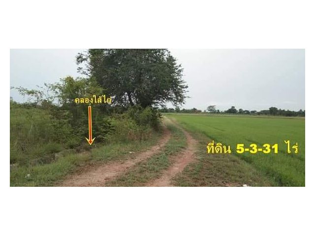 ที่ดิน 5 ไร่ 3 งาน 31 ตารางวา..โซนวัดแคทราย คูบัว ราชบุรี..ที่ดินมีคลองน้ำไหลผ่าน