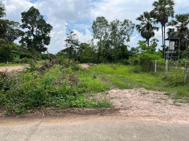 ขายที่ดินเปล่าบ้านขี้เหล็ก