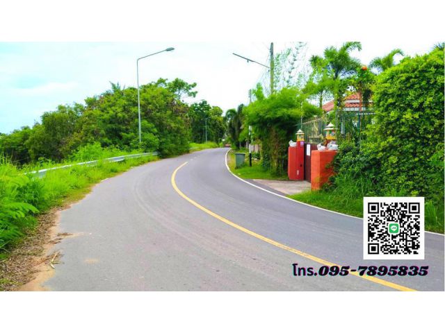 ขายที่ดินระยอง บ้านฉาง 25ไร่ ใกล้สนามบินอู่ตะเภาและหาดพลา*ผังสีส้ม*